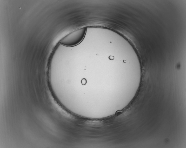 X0000116291135200912211835