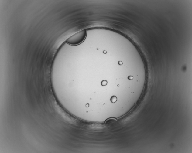 X0000116291137200912211835