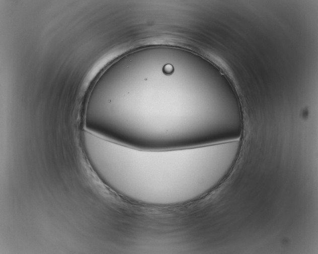 X0000116291138200912211835