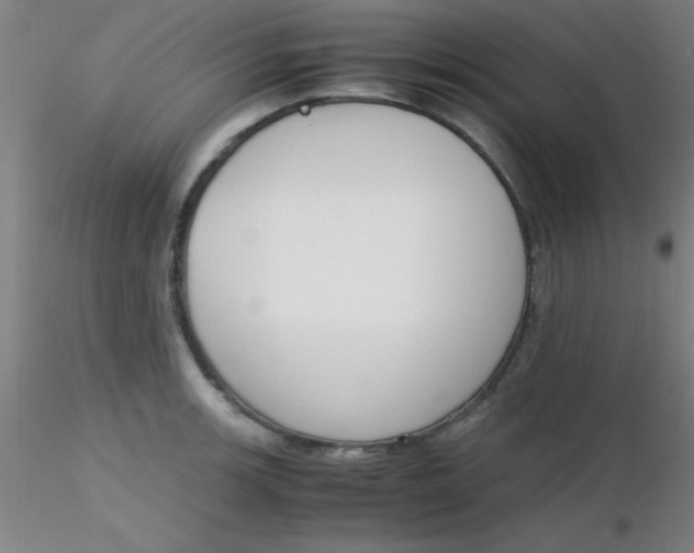 X0000116291139200912211835