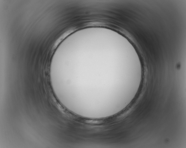 X0000116291145200912211835