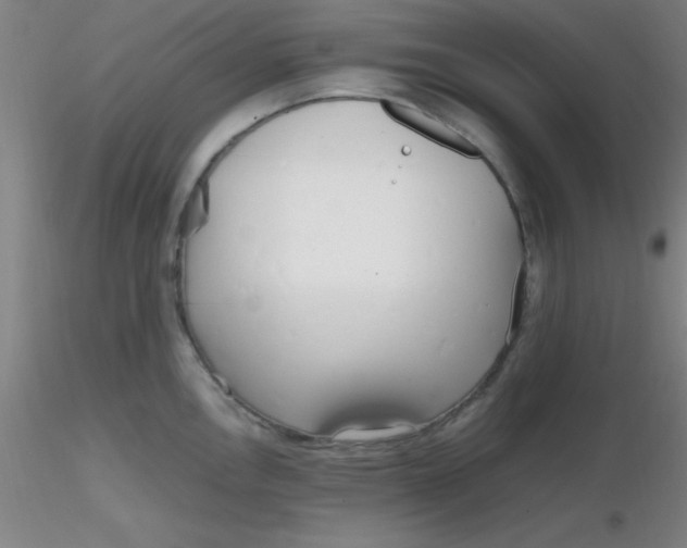 X0000116291146200912211835