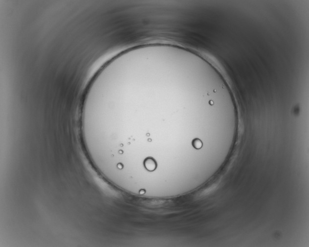 X0000116291149200912211835