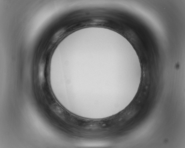 X0000116291150200912211835