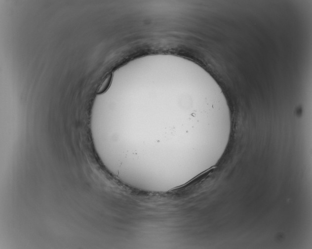 X0000116291153200912211834