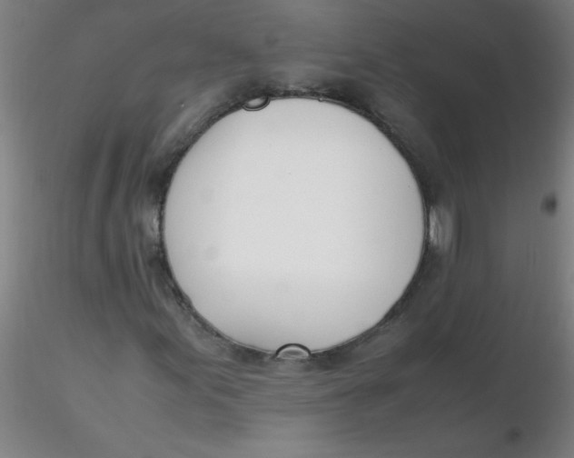 X0000116291155200912211834