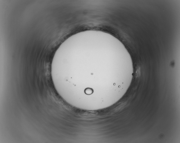 X0000116291156200912211834