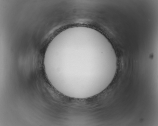 X0000116291158200912211834