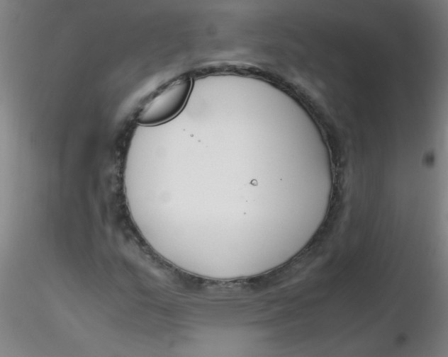 X0000116291159200912211834