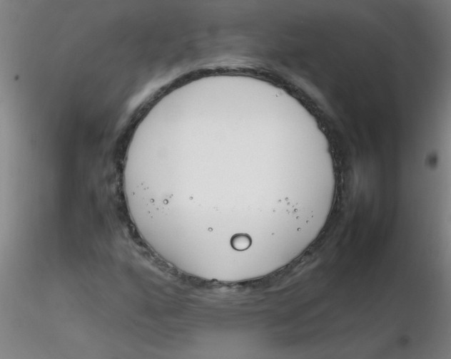 X0000116291160200912211834