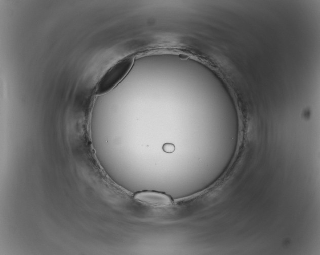 X0000116291161200912211834