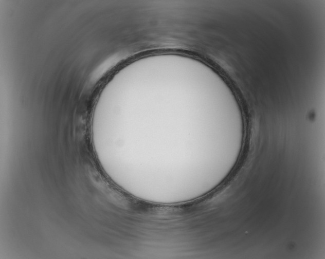 X0000116291163200912211834