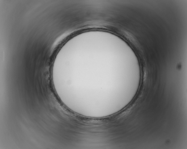 X0000116291164200912211834