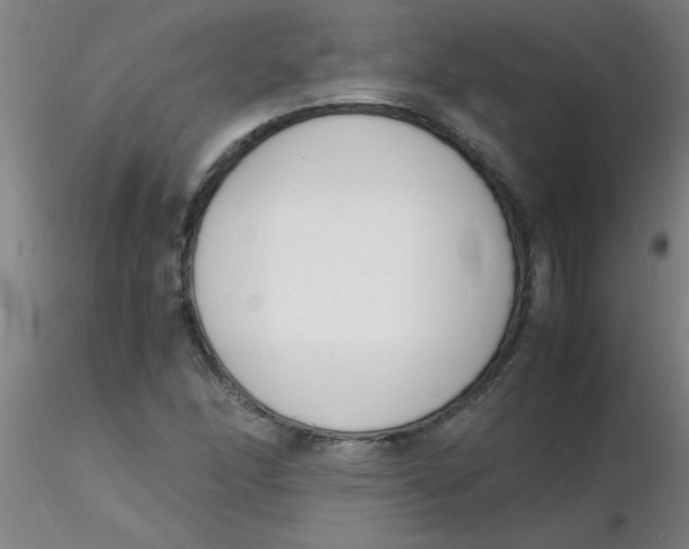 X0000116291166200912211834