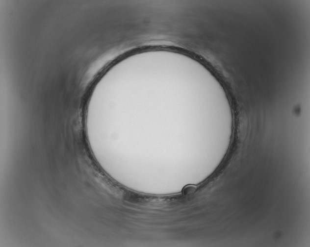 X0000116291167200912211834