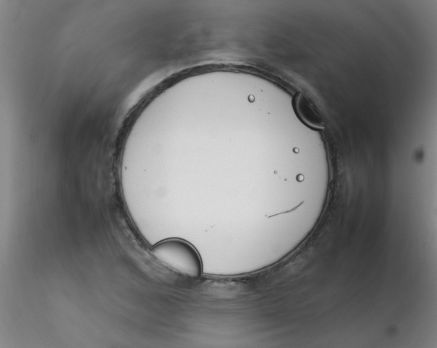 X0000116291168200912211834