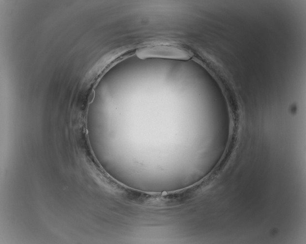 X0000116291169200912211834