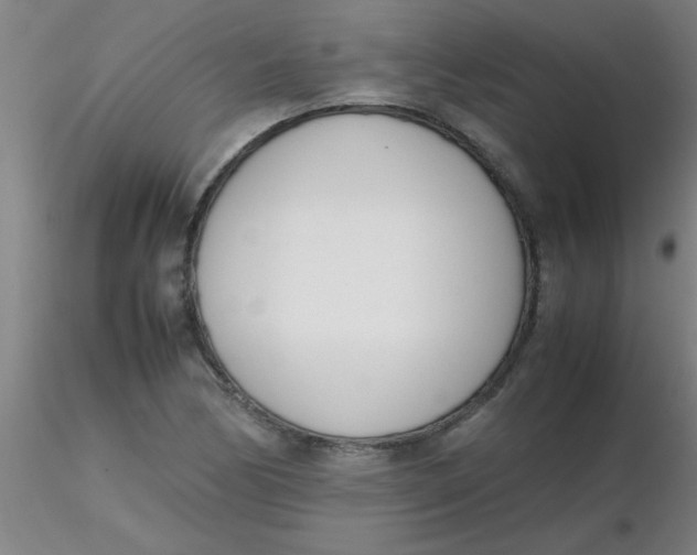 X0000116291170200912211834