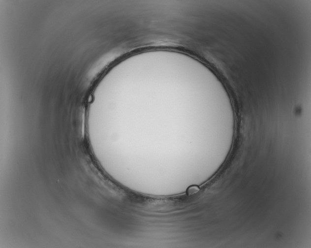 X0000116291171200912211834