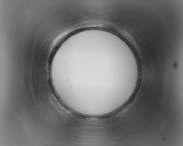 X0000116291172200912211834