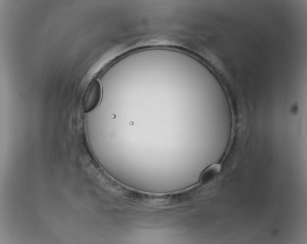 X0000116291173200912211834