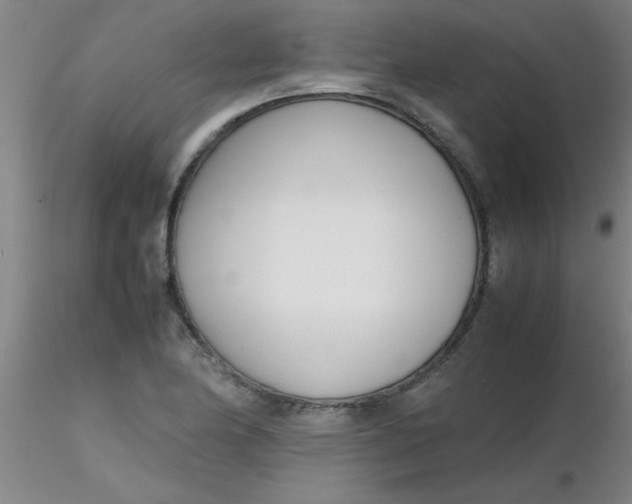 X0000116291174200912211834