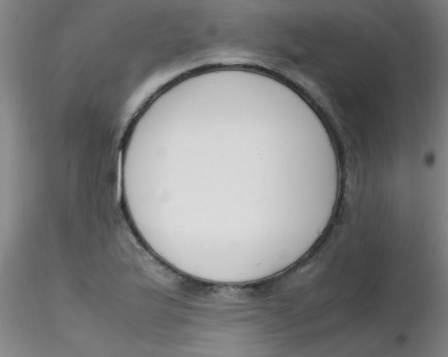 X0000116291175200912211834