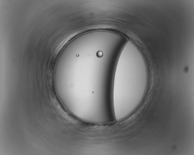 X0000116291177200912211834