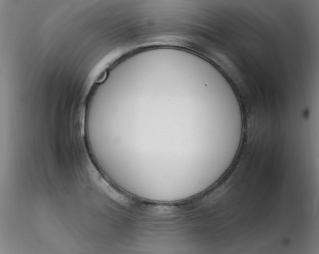 X0000116291180200912211834