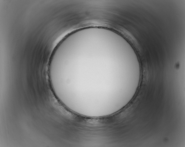 X0000116291182200912211834