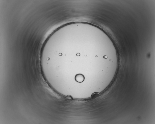 X0000116291184200912211834