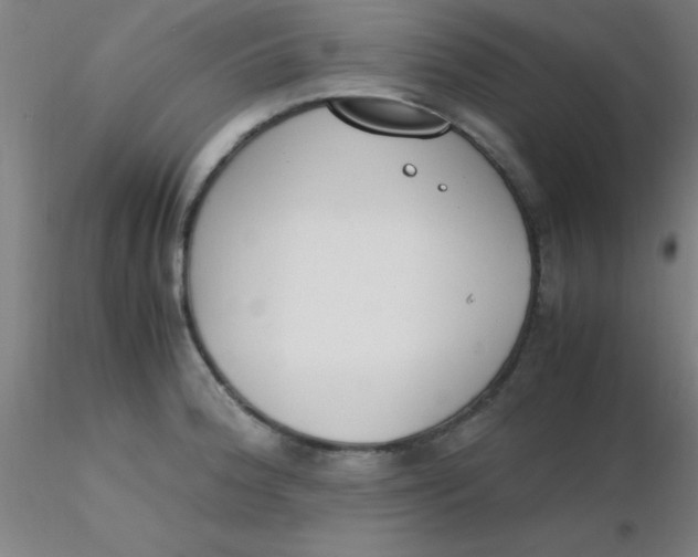 X0000116291188200912211834