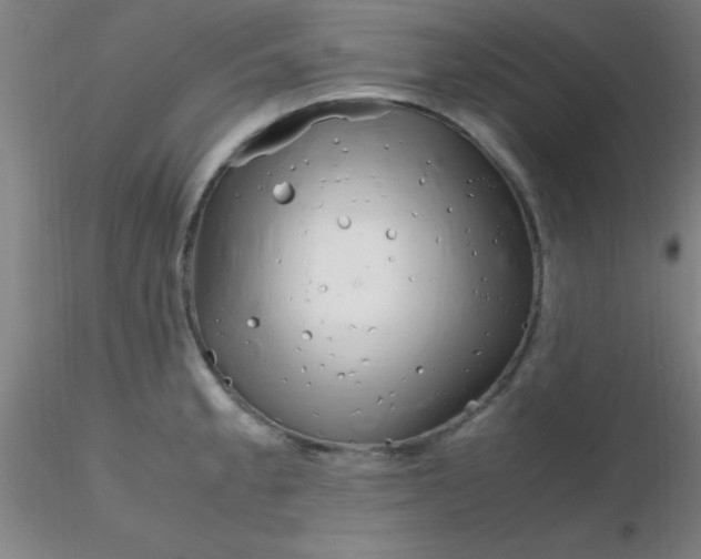 X0000116291189200912211834