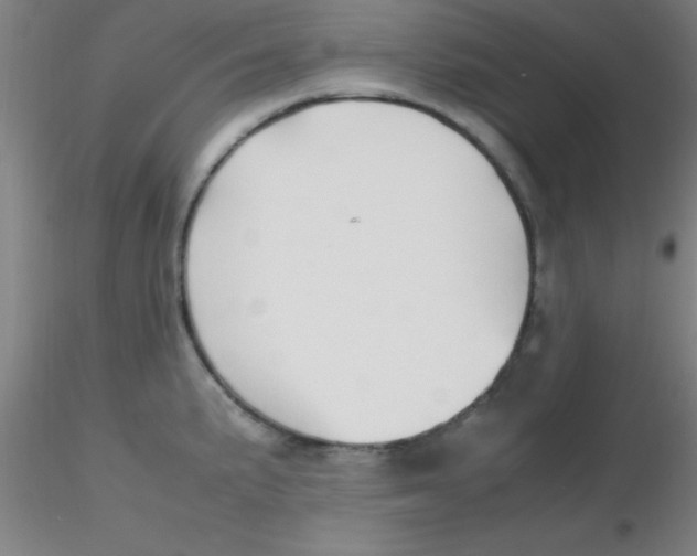 X0000116291191200912211834