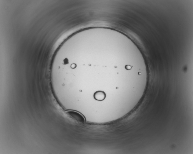 X0000116291192200912211834