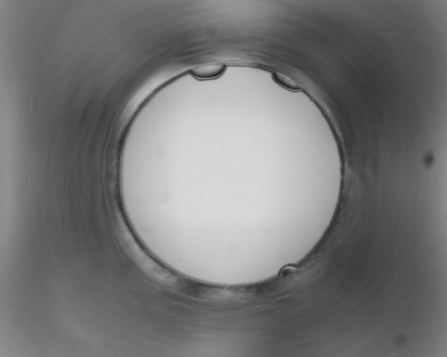 X0000116291195200912211834