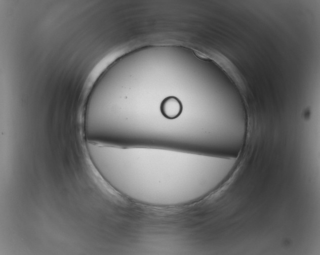 X0000116291196200912211834