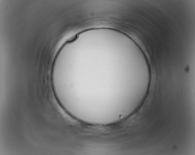 X0000116291197200912211834