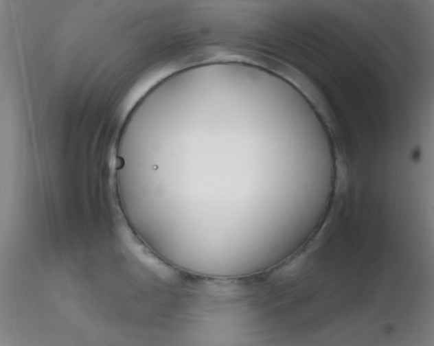 X0000116291198200912211834