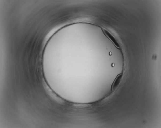 X0000116291200200912211834