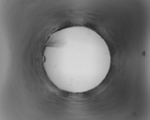 X0000116291201200912211833