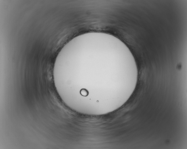 X0000116291202200912211833