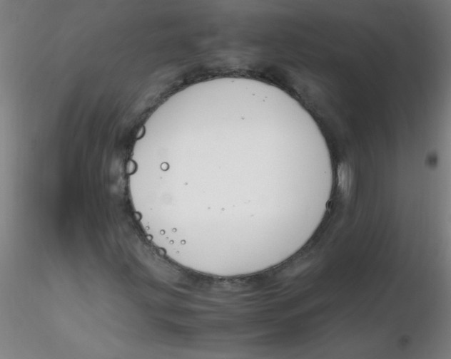 X0000116291203200912211833