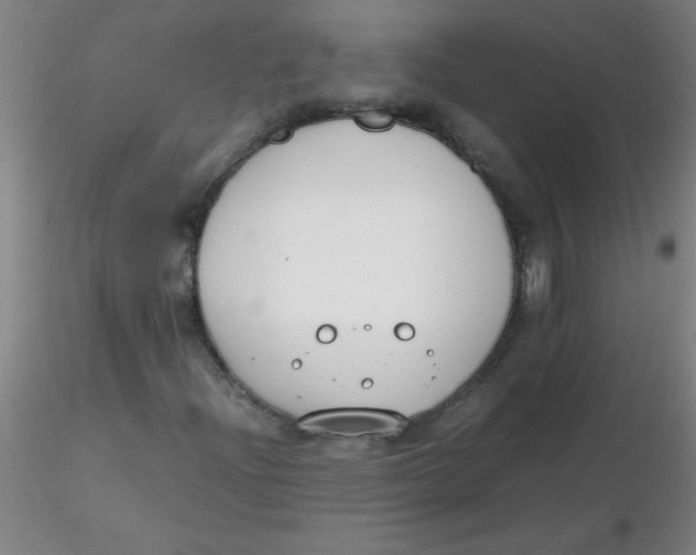 X0000116291204200912211833