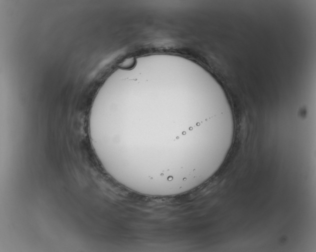 X0000116291205200912211833