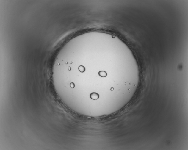 X0000116291206200912211833