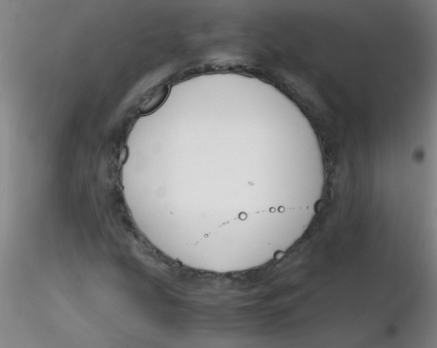 X0000116291207200912211833