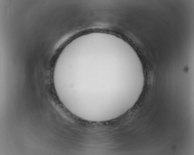 X0000116291208200912211833