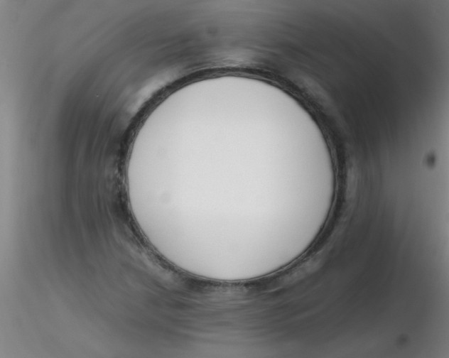 X0000116291210200912211833