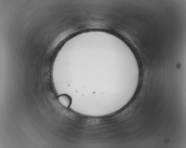 X0000116291211200912211833